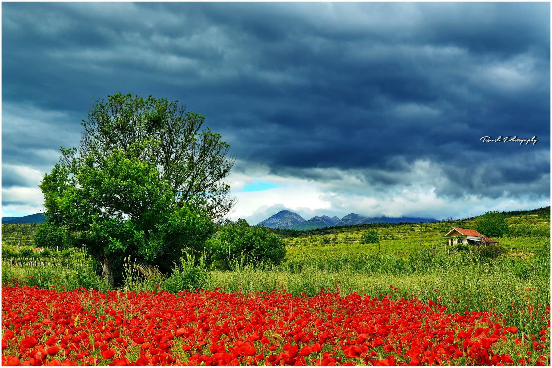 Рурален развој