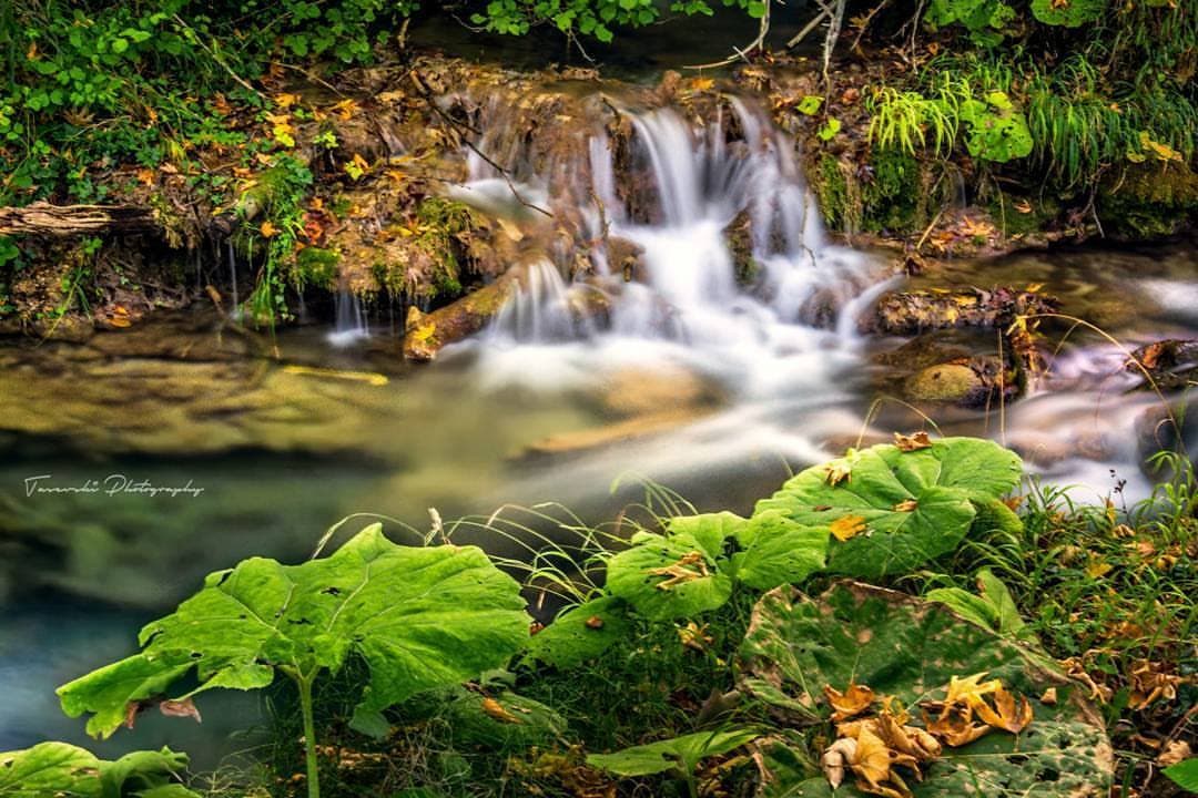 Животна средина